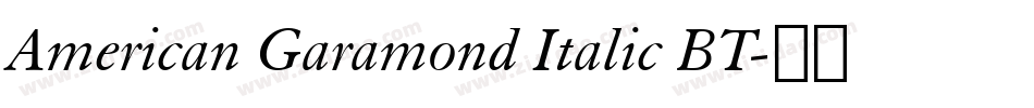 American Garamond Italic BT字体转换
